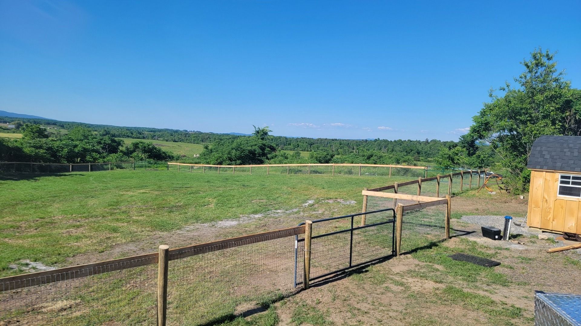 Open field fenced with black gate under blue sky, next to a small wooden building and trees.