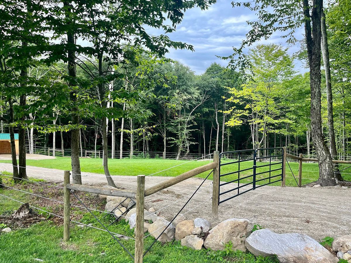 Wooden fence and black gate open to a grassy area, trees in the background.