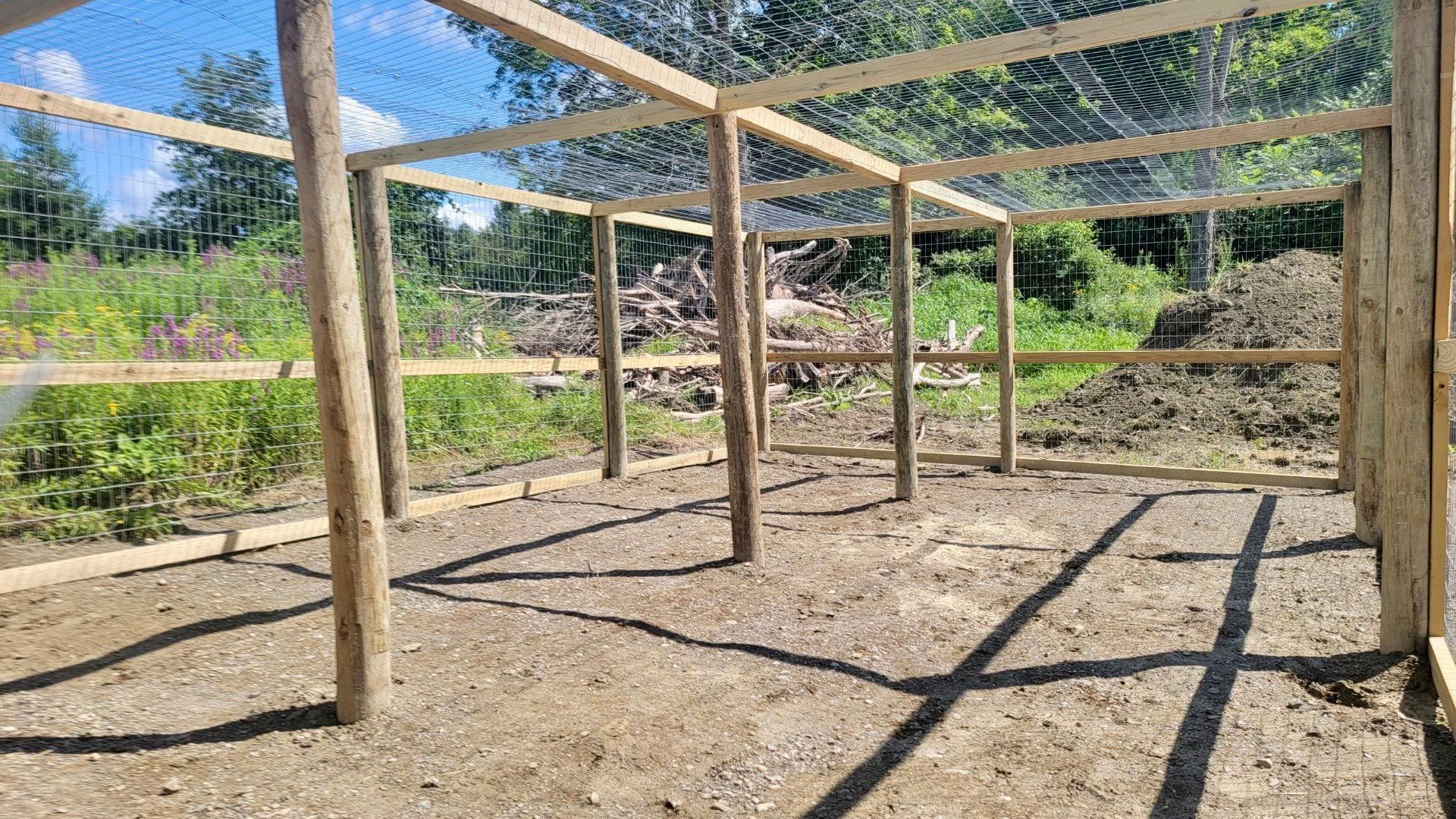 Wooden frame structure, possibly an enclosure, with wire mesh roof in outdoor setting.
