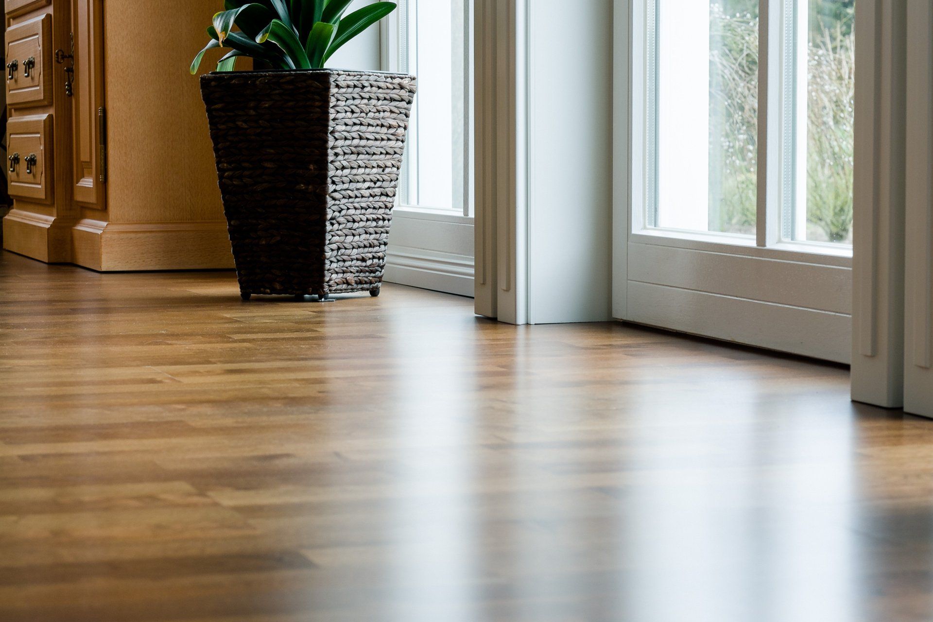 An interior view of a wooden-floored room with a door and a potted plant.