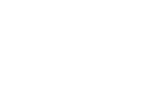 60 Plus Years Experiencev