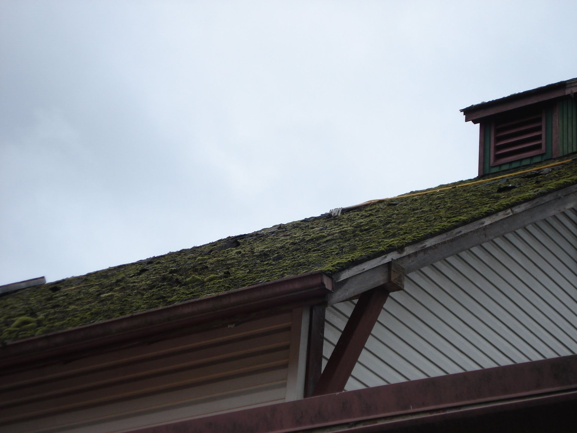A roof with a lot of moss on it