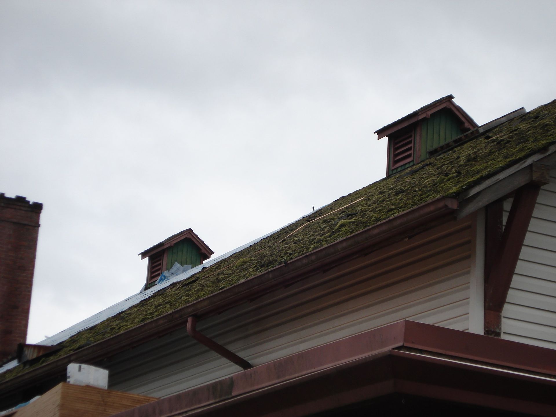 A house with a roof that has moss on it