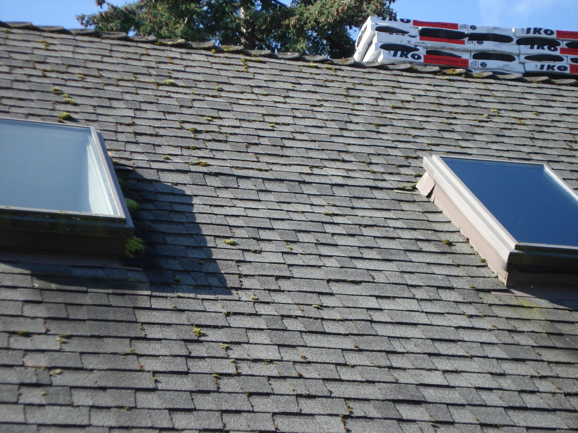 A roof with a few skylights on it