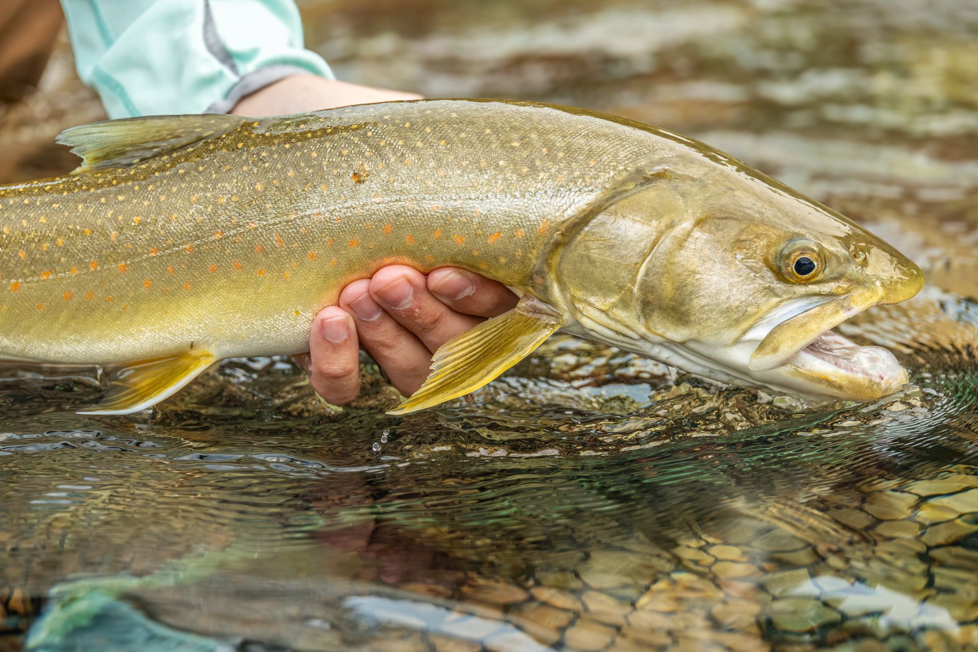 A man and a woman are fishing in a boat on a river.