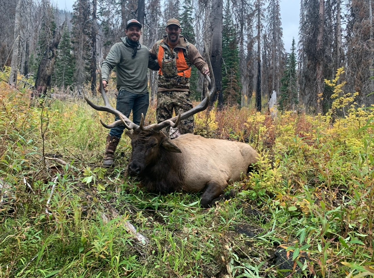 Two men holding antlers of elk they hunted