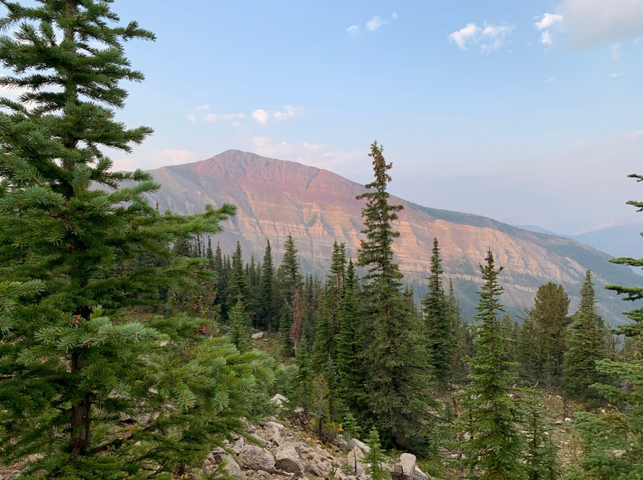 There is a mountain in the background with trees in the foreground.