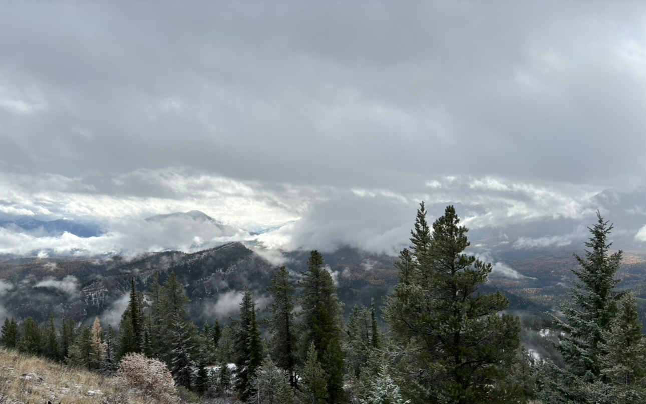 A mountain covered in snow and clouds with trees in the foreground.