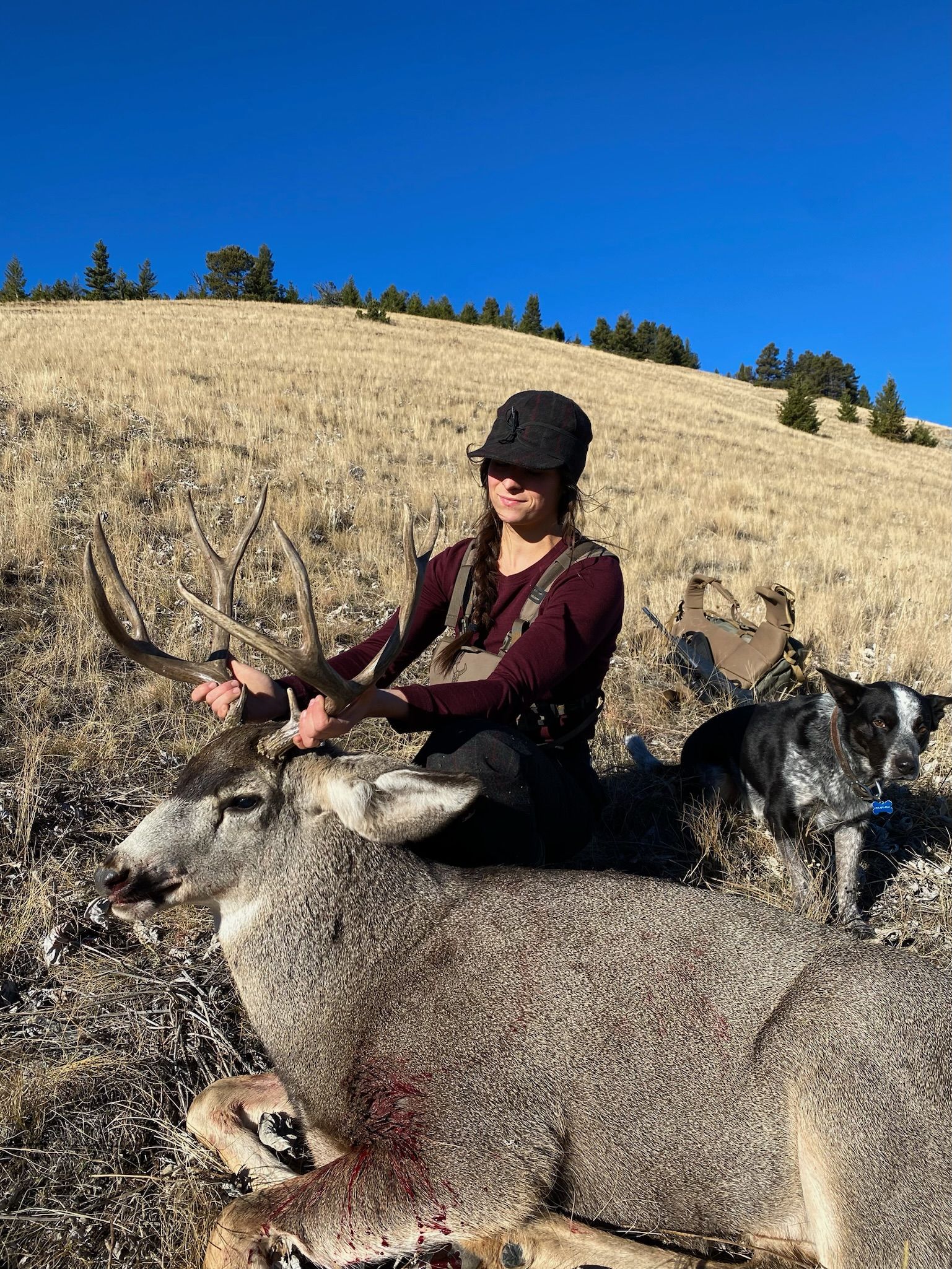 A man is standing next to a large elk in the woods.