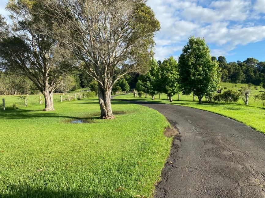 A Road Going Through A Grassy Field With Trees On Both Sides — Byron Storage Services In Myocum, NSW