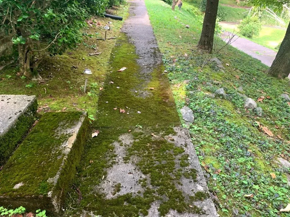 Pathway Before Washing — Maryville, TN — Godbey Clean LLC