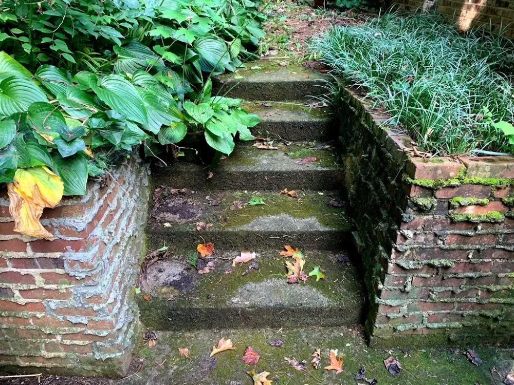 Concrete Stairs Before — Maryville, TN — Godbey Clean LLC