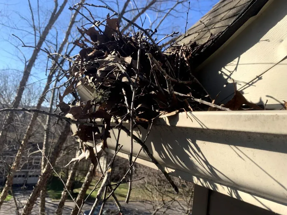 Dirty Gutter — Maryville, TN — Godbey Clean LLC