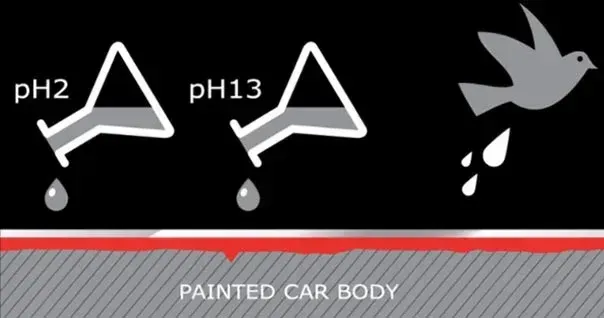 Diagram: Acid (pH2) and base (pH13) solutions dripping from beakers, bird dropping on painted car.