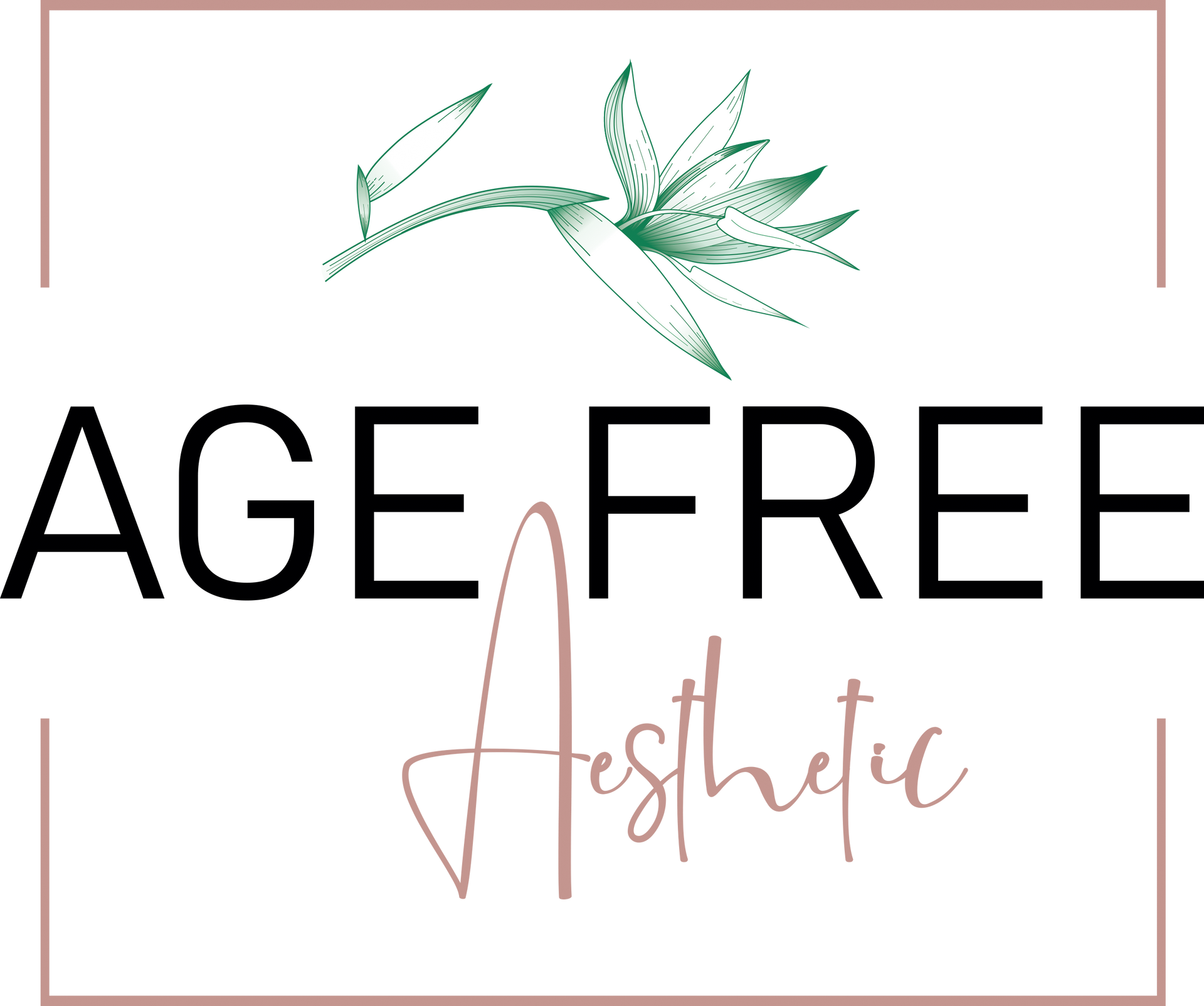 Ein Logo für altersfreie Ästhetik mit einem Kolibri und Blättern.