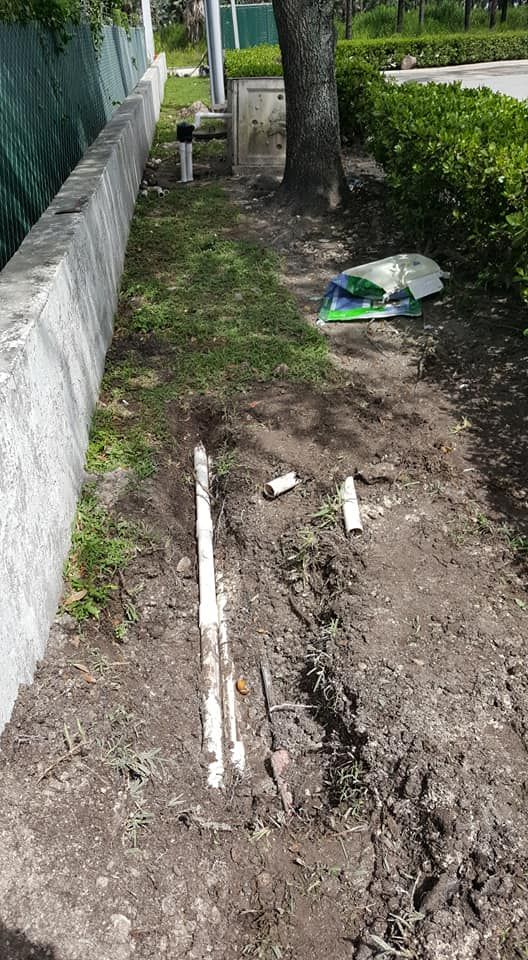 A white pipe is laying in the dirt next to a tree.