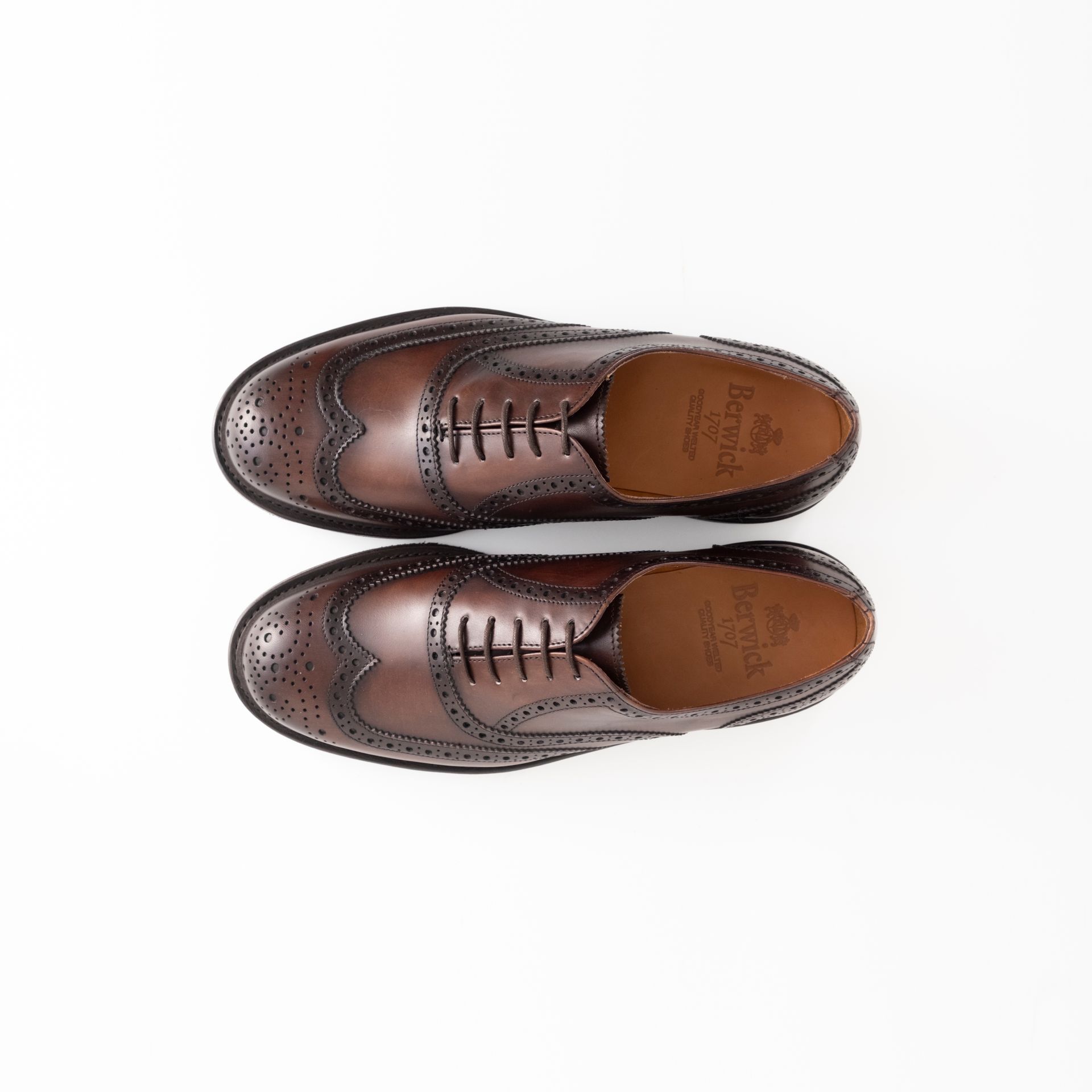 BERWICK  oxford        pelle moro , fondo xl