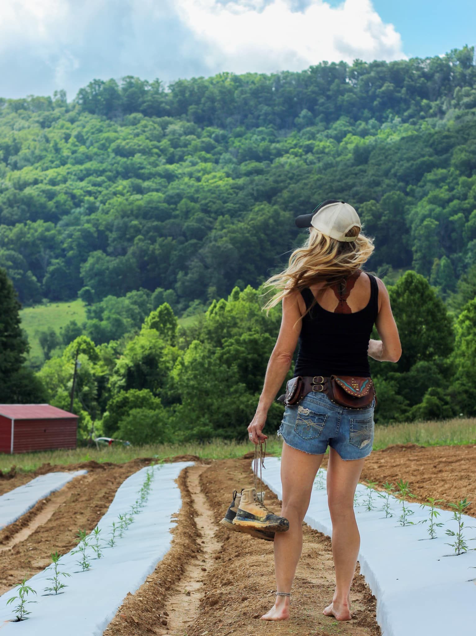 Franny Tacy overlooking the farm