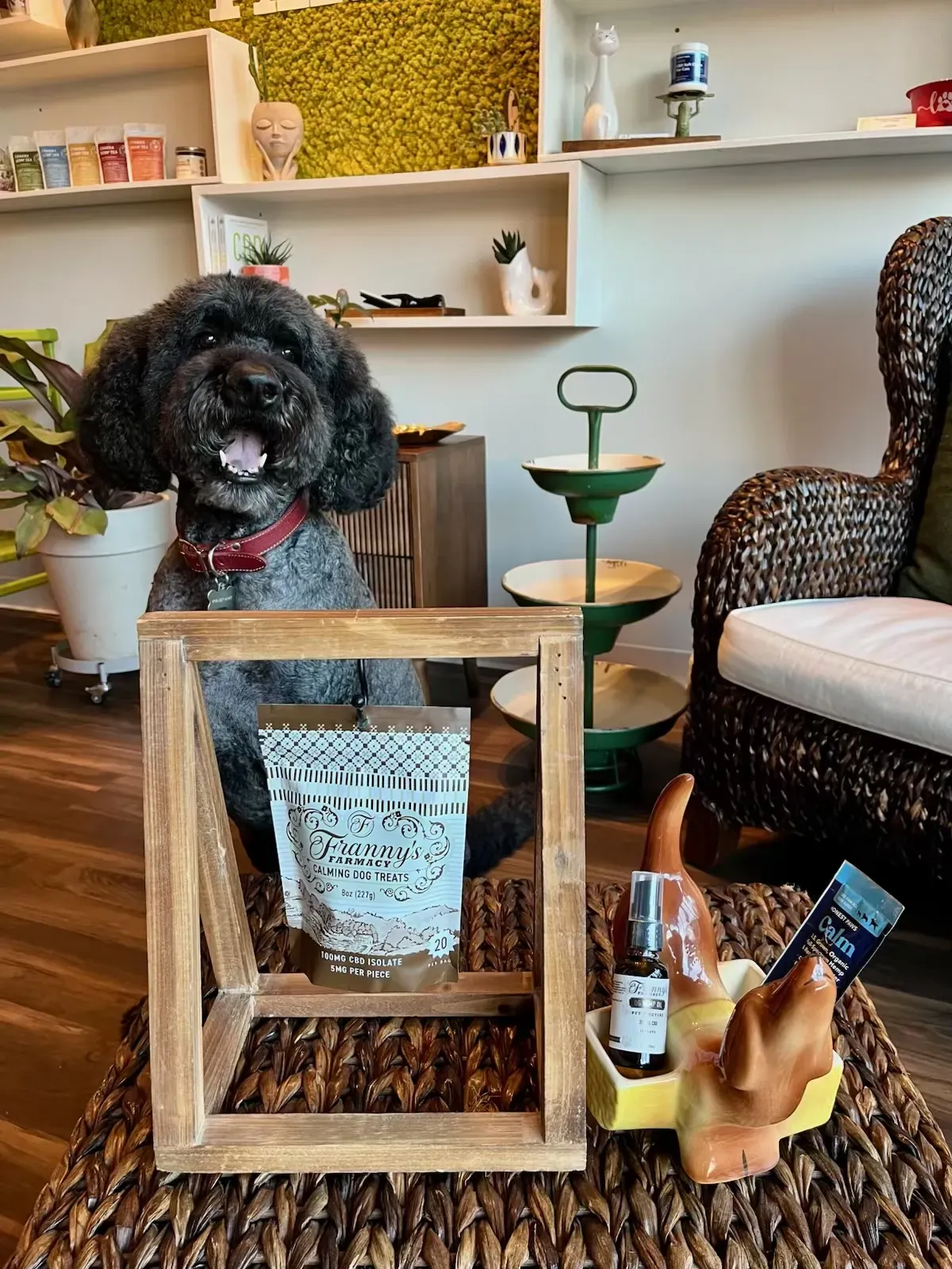 Franny's Farmacy calming CBD dog treats