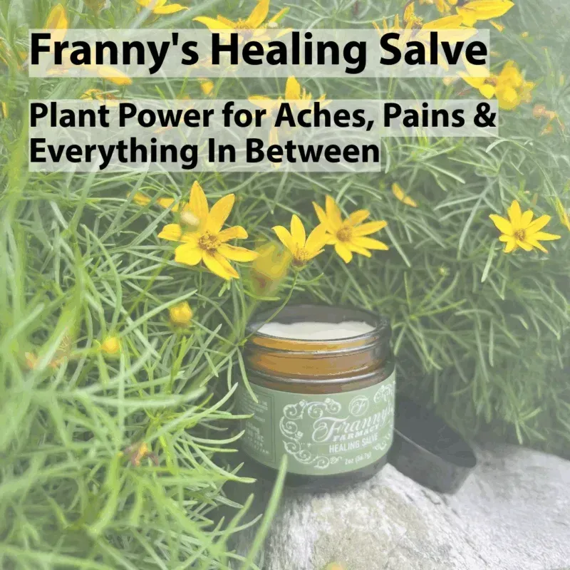 Franny's Healing CBD Salve