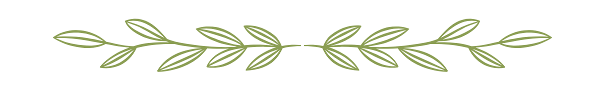 Green leaf  decorative divider