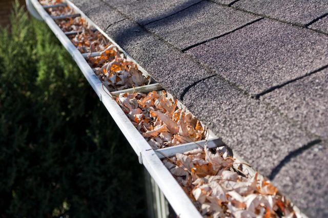a house gutter with dry leaves