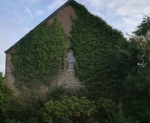 Ivy Covered Lodge