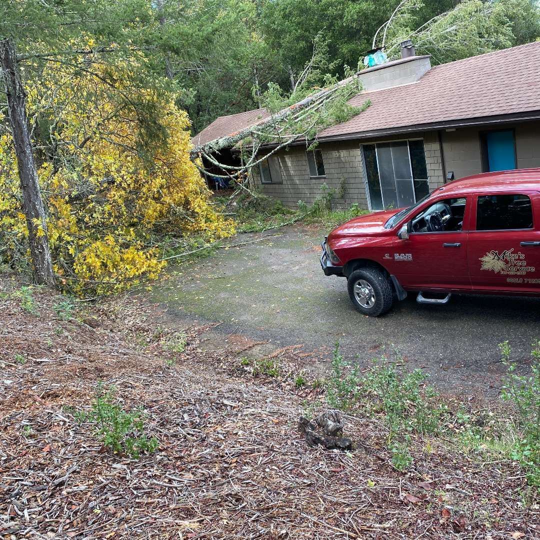 Red work truck and wood chipper parked on a wet street near a house.