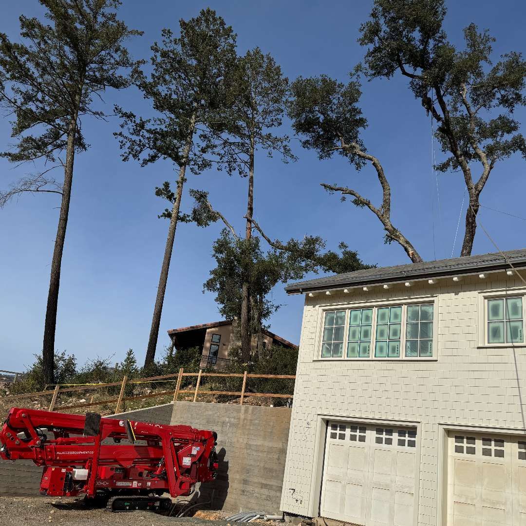 Red construction equipment near a building and tall trees under a blue sky.