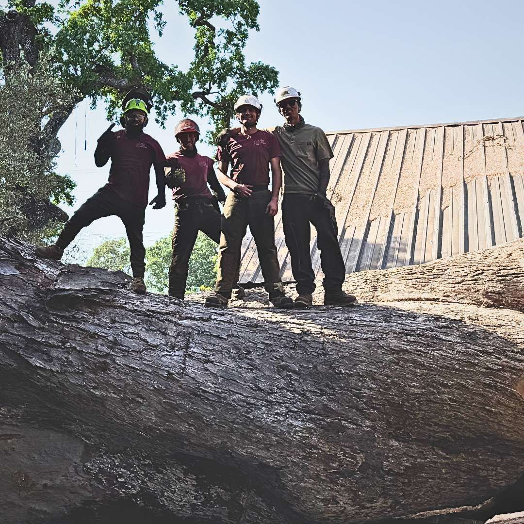 A group of men standing on top of a large log