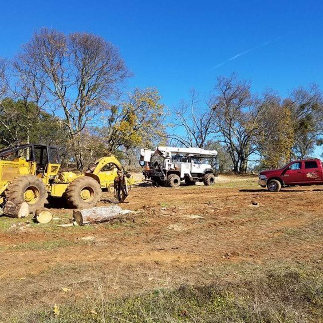 A group of vehicles are parked in a dirt field.