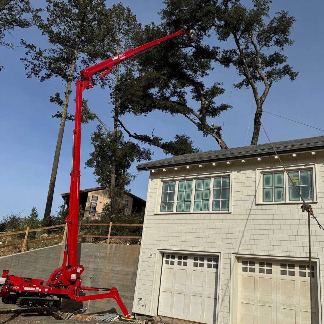 A red crane is lifting a tree in front of a house A red crane is lifting a tree in front of a house