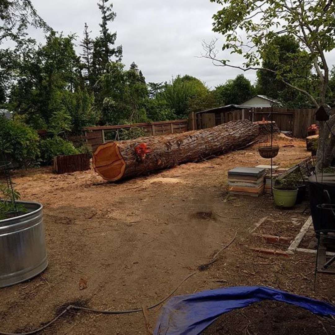 A large log is sitting in the middle of a dirt field.