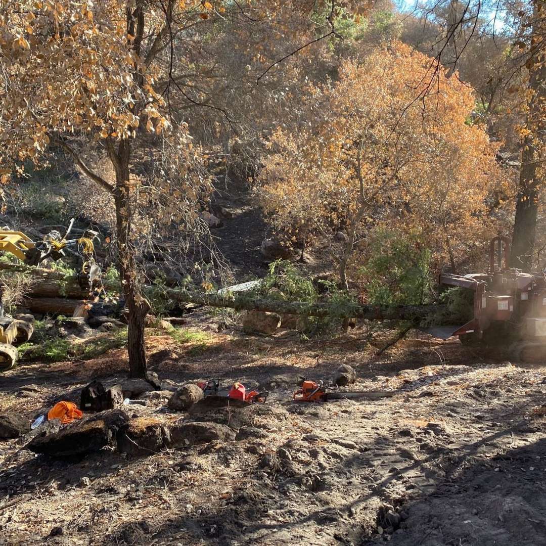 Camping site beside a creek with scattered gear and autumn trees in warm sunlight