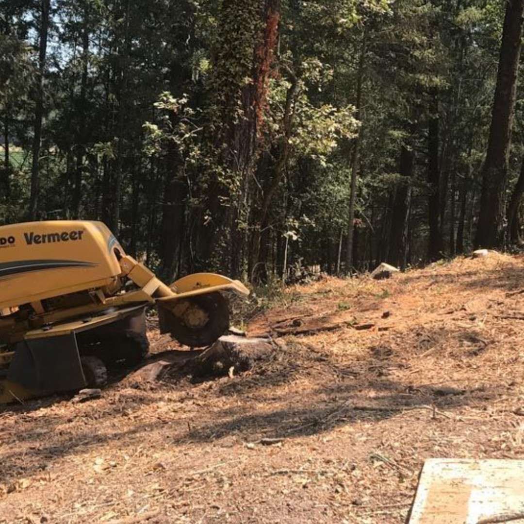 A yellow stump grinder is sitting in the middle of a forest.