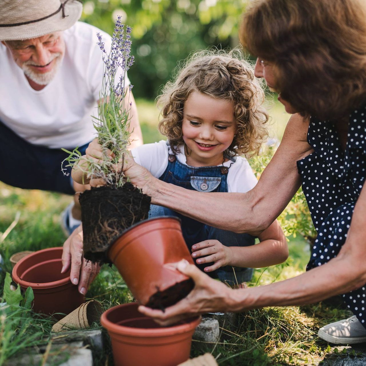 A little girl is planting a plant in a pot with her grandparents.