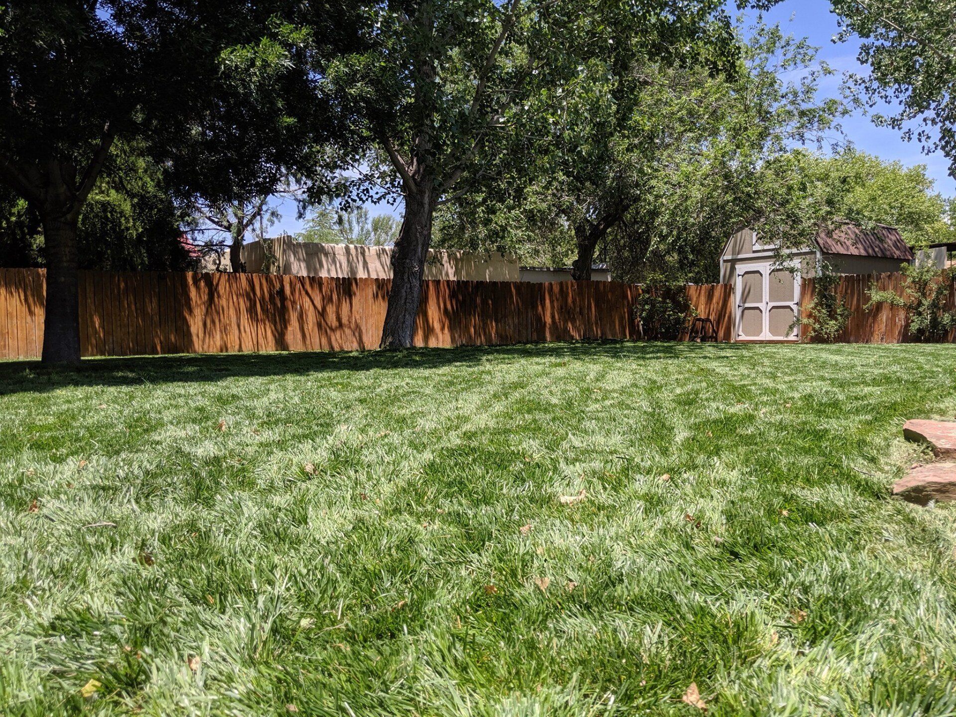 Grassy Field — Albuquerque, NM — Arbor RV Park