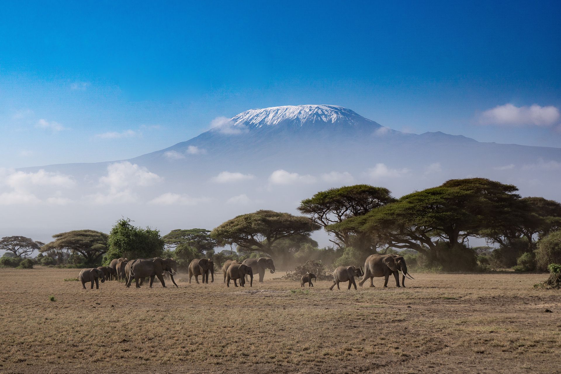 Nairobi from £2085*