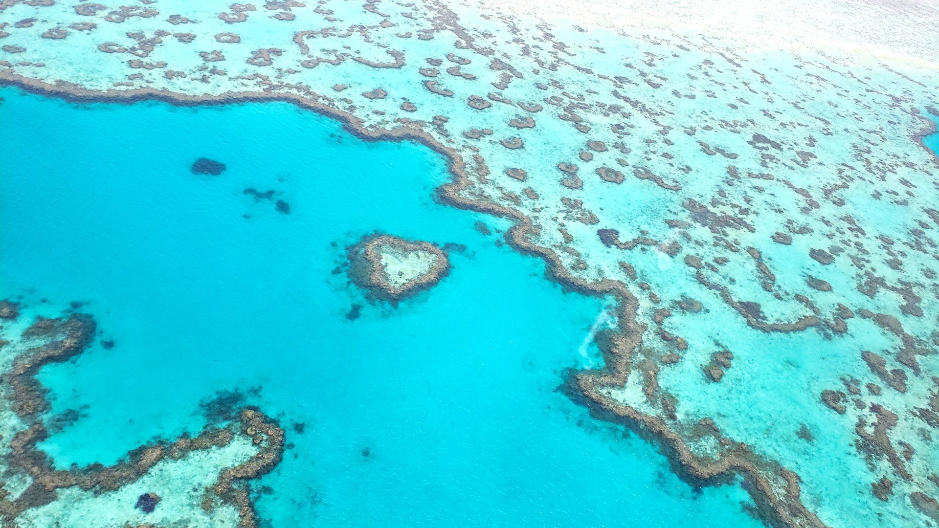 Great Barrier Reef