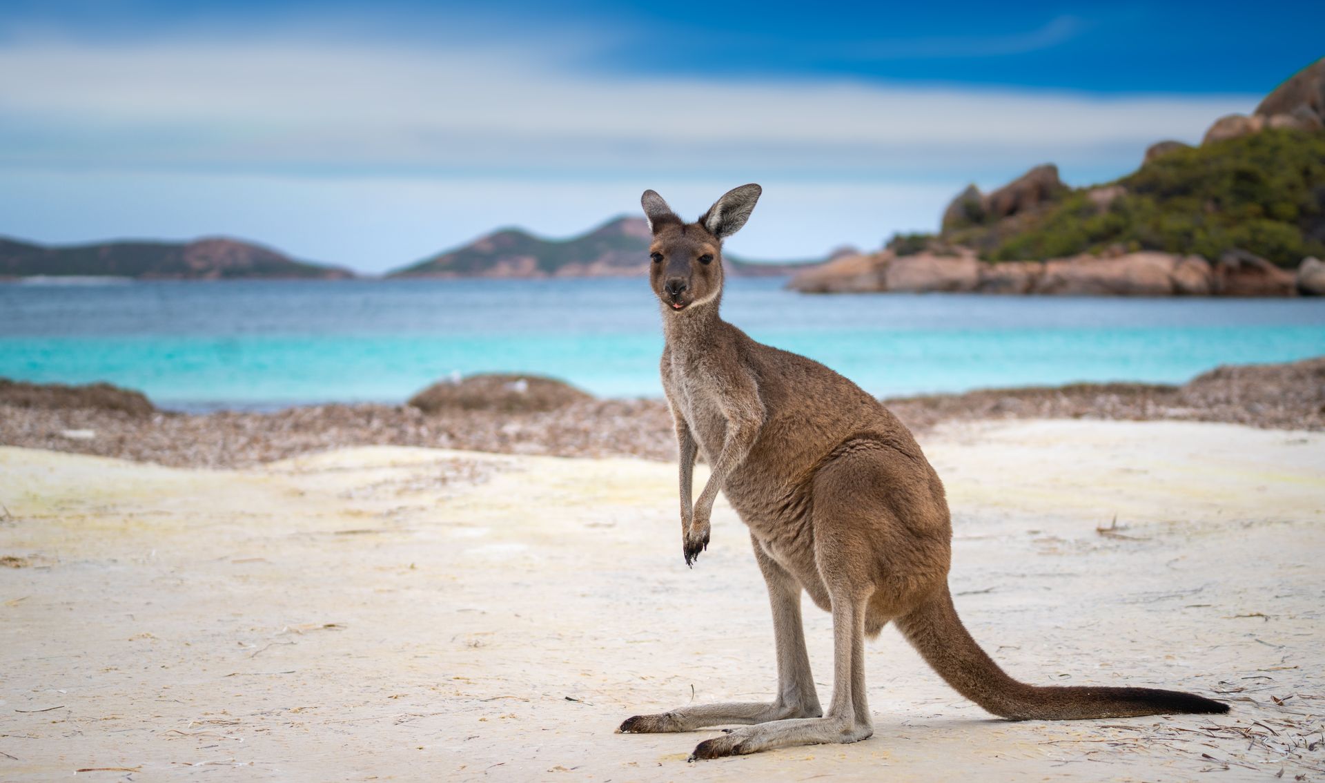 Cape Le Grand National Park 