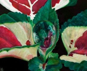 Schilderij - Perfecte balans (incl. lijst) / Carine's Creaties