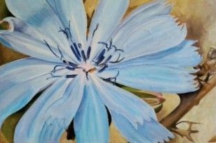 Schilderij - Cichorium intybus / Carine's Creaties