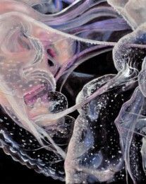 Schilderij - Pelagia Noctiluca / Carine's Creaties