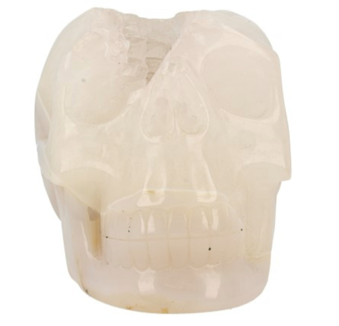 Schedel Agaat  (nr.4)