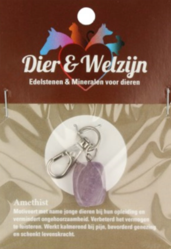 Amethist Halsbandhanger