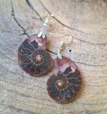 Ammoniet Oorbellen - 3 cm