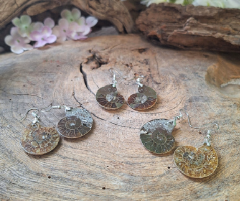 Ammoniet Oorbellen - 3 cm