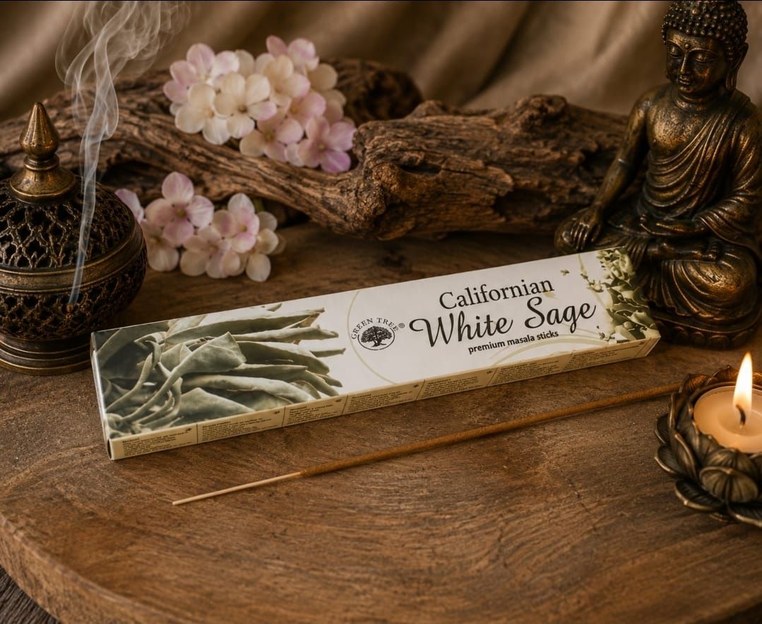 Californian White Sage - Green Tree Wierook / 12 st.
