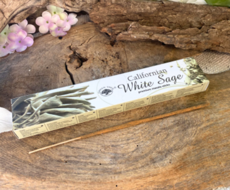 Californian White Sage - Green Tree Wierook / 12 st.