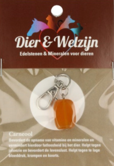 Carneool Halsbandhanger
